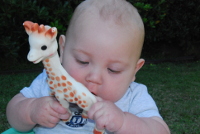 Bébé jouant avec Sophie la giraphe